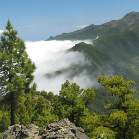 Casa Clásica En Santa Cruz Palma Сasa de vacaciones Santa Cruz de la Palma (Isla de la Palma)